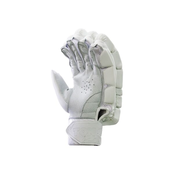 Player Edition Gloves c