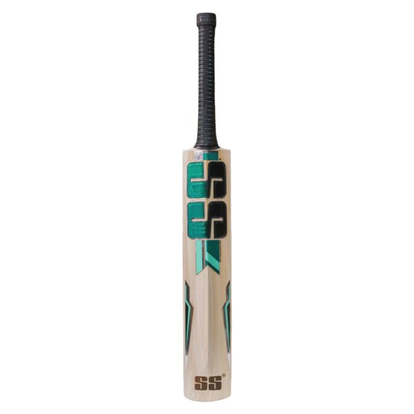 Super Sixes Kashmir Willow 3