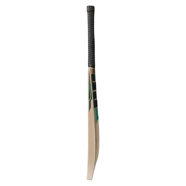 Super Sixes Kashmir Willow 4