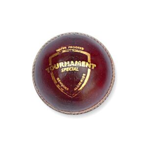 SG Tournament Special Cricket Ball