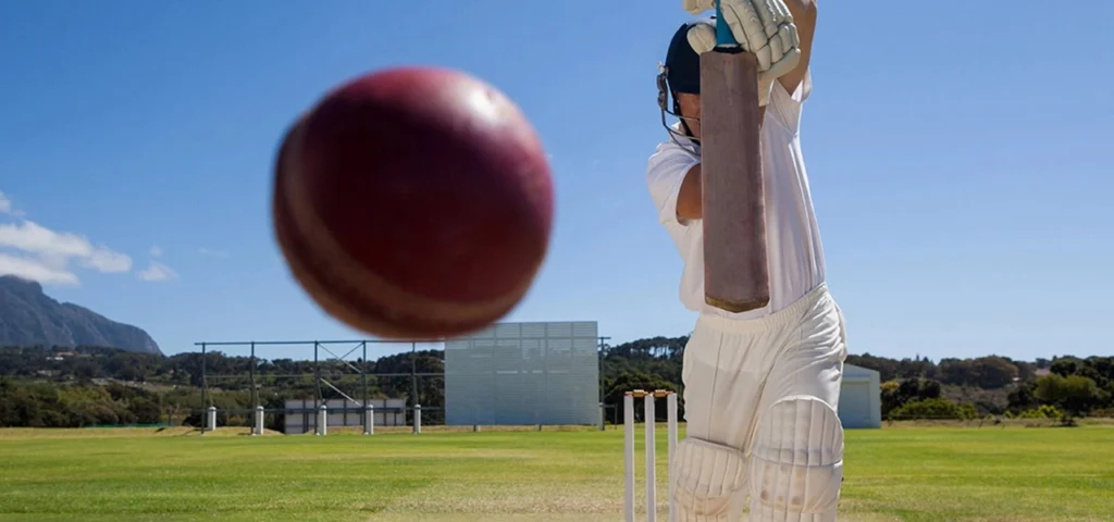 White Ball Cricket Definition, Meaning, and How It Differs from Red Ball Cricket