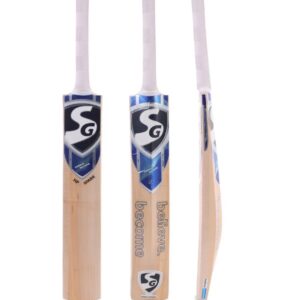 Buy SG HP Spark Kashmir Willow Cricket Bat - DP Azad Sports