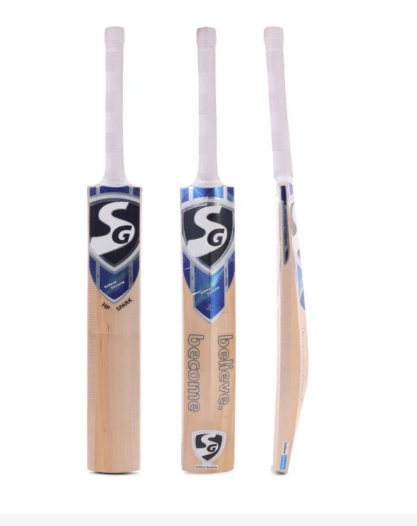 Buy SG HP Spark Kashmir Willow Cricket Bat - DP Azad Sports