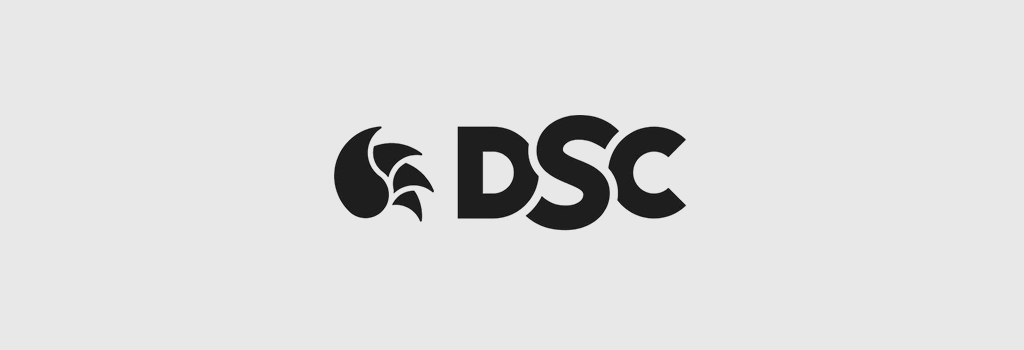 Deluxe Sports Company (DSC)