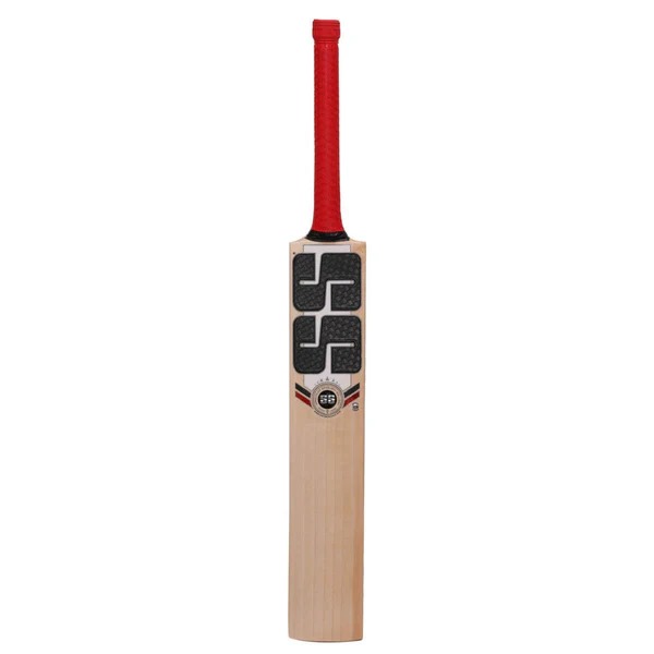 SS Professional English Willow Bat