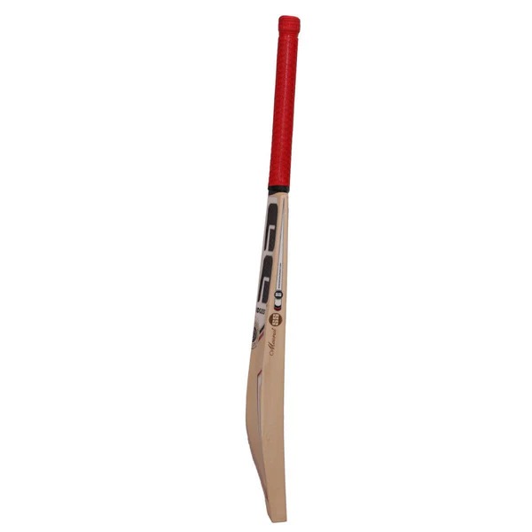 SS Professional English Willow Bat