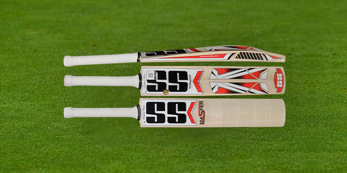 SS Master 1000 Kashmir Willow Cricket Bat-1